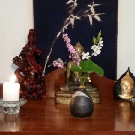 cropped-20170829_1039431